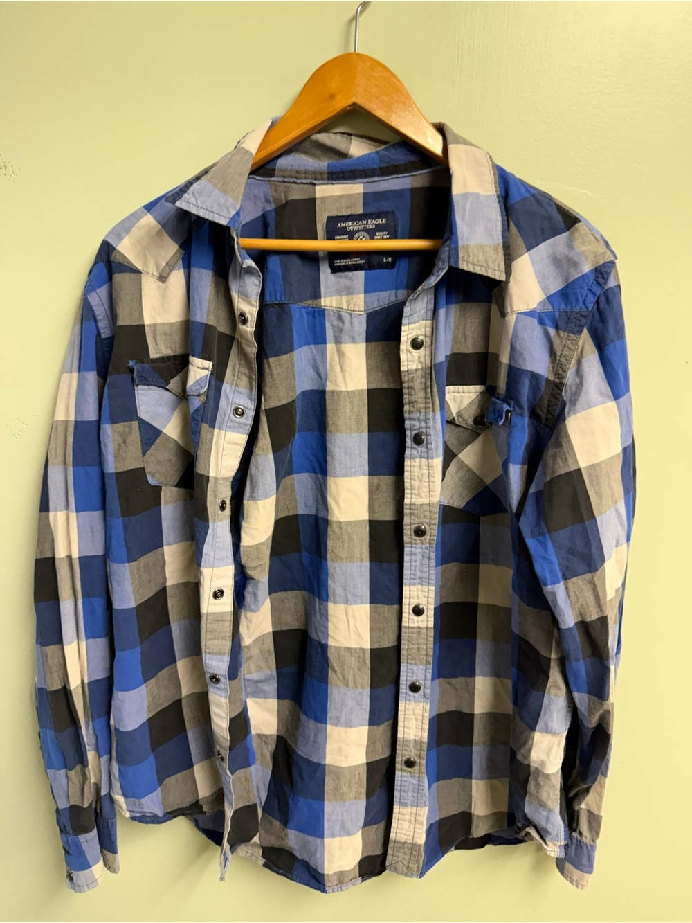 American Eagle Outfitters Blue, Black & White Plaid Button-Down Shirt